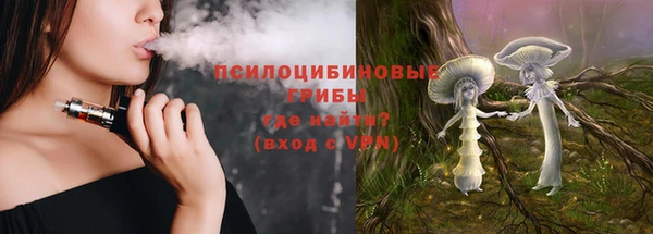 твердый Бикин