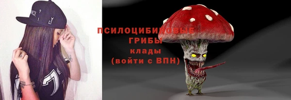 твердый Бикин