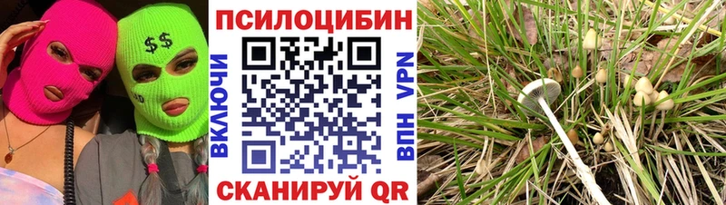 Галлюциногенные грибы GOLDEN TEACHER  Екатеринбург 