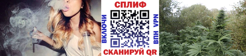 kraken   Екатеринбург  Бошки Шишки план 